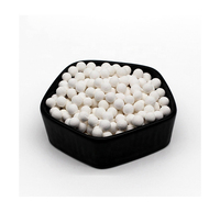 Adsorbant à billes d'alumine pour l'élimination du fluorure Déshydratant à base d'alumine activée Gamma 3-5mm