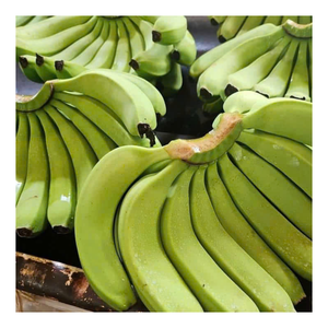 Banana Cavendish fresca Premium cosechada cuidadosamente en Vietnam, empaquetada ordenadamente y suministrada consistentemente para los mercados de exportación - Product Image 3