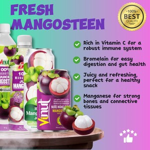 Bebida al por mayor Vietnam-Muestra gratis-330ml Puede beber 100% jugo de mangostán Refresco Sin agregar azúcar-Etiqueta privada OEM - Product Image 3
