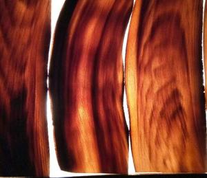 Placa Gava de cuerno de búfalo natural hecha a mano de La India, artesanía de estilo Animal pulido con mango cómodo - Product Image 1