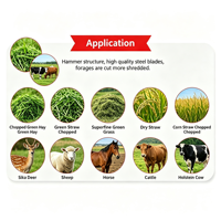 Broyeur de fourrage pour animaux, coupe-herbe, ensileuse, broyeur de paille, machine à couper la paille, alimentation animale, ferme, 3-8 tonnes par heure