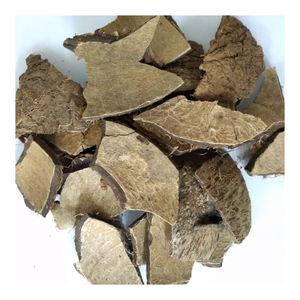 Cáscara cruda de coco natural de Vietnam-Exportación directa, uso multiusos en manualidades, productos de jardín, accesorios ecológicos, diseño de arte - Product Image 6