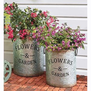 Jardinière en métal galvanisé robuste, idéale pour la culture de buissons, arbustes et plantes décoratives d'extérieur avec stabilité - Product Image 3