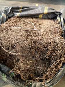 Ordene Hojas de hierba de gelatina negra cruda al mejor precio, Exportación de alto estándar de Vietnam - Product Image 5