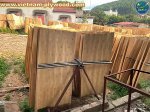 Hojas de chapa de núcleo de grado de exportación para fabricantes de madera contrachapada India Acacia Eucalyptus Core HCPLY Lucyplywood Vietnam Chapa Exportación - Product Image 4