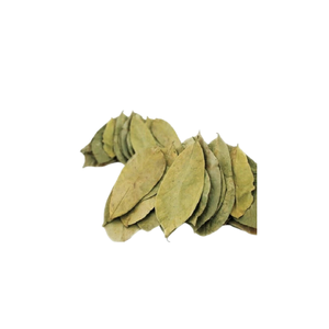 FEUILLE DE SOURSOP BON MARCHÉ SOURCE DE HAUTE QUALITÉ 2024 - Product Image 4