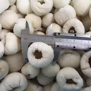 Đông lạnh <span class=keywords><strong>Lychee</strong></span> iqf Hữu Cơ vải trái cây bột giấy bóc vỏ và đông lạnh <span class=keywords><strong>Lychee</strong></span> trong số lượng lớn toàn bộ và thái lát giá rẻ giá chất lượng cao - Product Image 1