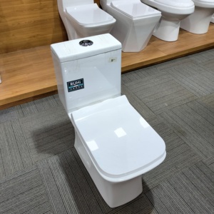 ขายห้องน้ําชิ้นเดียวสไตล์ซูเปอร์วอร์เท็กซ์ทรงกลมสวยงามคุณภาพดี - Product Image 2