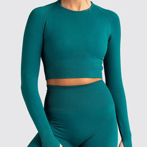 Ensemble de yoga pour femmes, vêtements de sport, hauts à manches longues et courts, ensemble 2 pièces, tenue de sport, combinaison moulante personnalisée pour femmes - Product Image 2