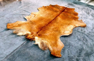 Pieles y Cueros de Vaca Kenianos de Alta Calidad 2025 en Venta a Nivel Mundial, Calidad de Exportación de Alto Grado, Mejores Pieles - Product Image 6