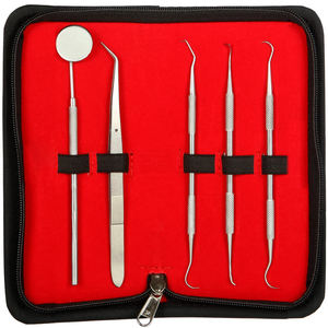 Détartreurs de sondes en acier inoxydable de haute qualité Instrument dentaire | Détartreurs de sondes orthodontiques Kit chirurgical pochette Logo personnalisé - Product Image 2