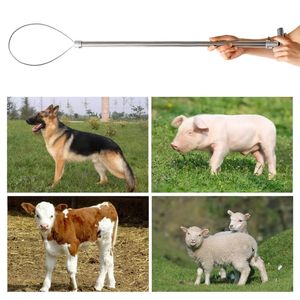 Herramienta de sujeción de cerdos cromada de 18 pulgadas para un manejo seguro de animales en granjas e instalaciones ganaderas - Product Image 5
