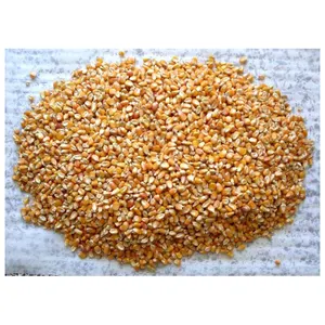 FOR POULTRY FEED Yellow Maize, Dried Yellow Corn, Popcorn, White Corn Maize for Consumption and Animal Feed Best Quality Dried S