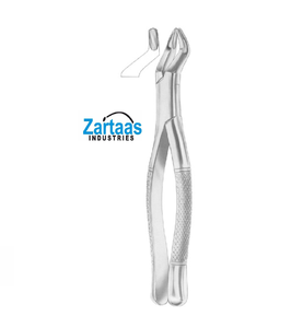 Fórceps de extracción de acero inoxidable de alta calidad terceros molares superiores ESTÁNDAR Fig 330/4 Fabricante y exportador - Product Image 6