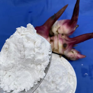 Harina de arrowroot vietnamita seca premium al por mayor. Sin Gluten, Natural, de Primera Calidad, Perfecto para Hornear y Cocina Asiática - Product Image 1