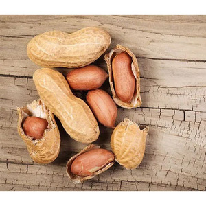 Chất Lượng Cao Cấp Nguyên Liệu Đậu Phộng Số Lượng Lớn Hữu Cơ Lạc Hạt Nhân Bán Buôn Không Biến Đổi Gen Ăn Được Đậu Phộng Xuất Khẩu <span class=keywords><strong>Java</strong></span> Bold - Product Image 5