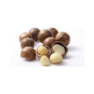 Nueces de Macadamia de marca privada, origen de Vietnam, embalaje personalizado, granos crudos o tostados OEM y servicio de suministro a granel, de Vietnam - Product Image 3
