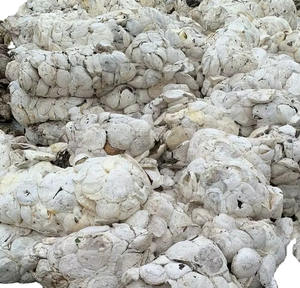 Caoutchouc naturel latex à haute élasticité, approvisionnement en vrac auprès du meilleur fournisseur et exportateur à bas prix - Product Image 2