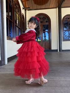 Vestido de princesa de manga larga con volantes y malla en capas para niñas, nuevo peto de malla 3D, estilo occidental, ODM directo de Vietnam - Product Image 5