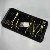 Kit d'outils Micro-lien de qualité supérieure Pince à extensions de cheveux en couleur or avec étui Logo personnalisé Extensions boucle de traction de cheveux