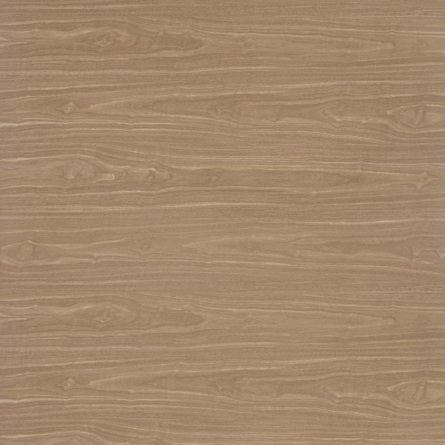 Medium Eastern Walnut