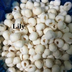 Approvisionnement en vrac et marque privée de litchi congelé du Vietnam/Lily - Product Image 6