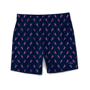 Basketball pour hommes Fitness Running Workout Logo personnalisé pour hommes Short de sport de haute qualité Jogger Mesh Athletic Gym Wear - Product Image 1