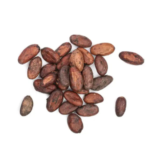 Fèves de cacao en gros de qualité supérieure meilleurs haricots secs pour l'exportation dans le monde entier adapté aux usines de chocolat et internationales - Product Image 3