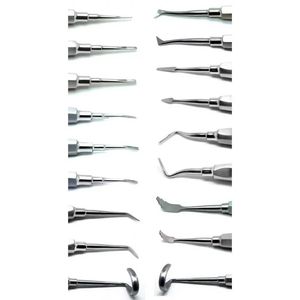 Elevador dental de luxación de acero inoxidable peristomas curvos para cirugía periodontal elevadores de raíz de todos los tipos disponibles - Product Image 3