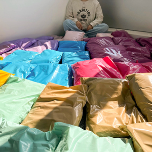 Phân hủy sinh học bán buôn Chất lượng cao tùy chỉnh in Rose Logo Frosted <span class=keywords><strong>Poly</strong></span> bưu phẩm bao bì nhựa túi cho quần áo - Product Image 6