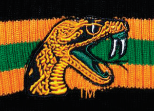 FAMU Florida A & M beanies COLLEGIATE ความอบอุ่นและความทนทานในฤดูใบไม้ร่วงพร้อมพิมพ์ลายดีไซเนอร์สำหรับสวมใส่ชายหาด - Product Image 3