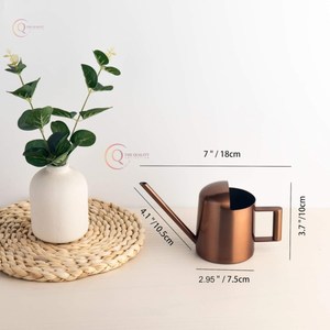 Arrosoir vert foncé à long cou Plantes d'intérieur et d'extérieur Outil de jardin durable et élégant Pichet en métal fait à la main avec poignée à long bec - Product Image 4