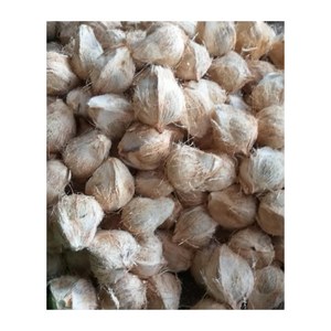 Coco semi descascarado de alto grado-Coco maduro para postres-Ingredientes de cocina con coco semi descascarado - Product Image 4