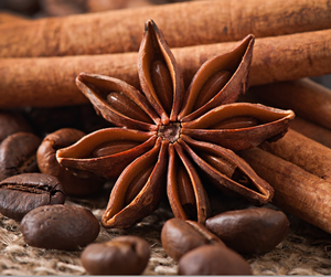 Anis étoilé frais cru séché de première qualité en provenance du Vietnam - Product Image 5