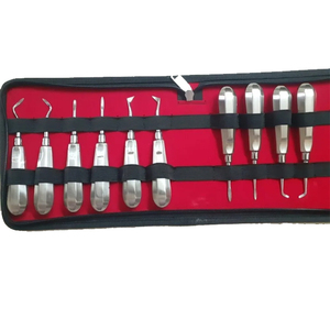 Ensemble d'ascenseurs de racines dentaires Instruments dentaires manuels Qualité allemande Prix certifié CE au Pakistan - Product Image 1