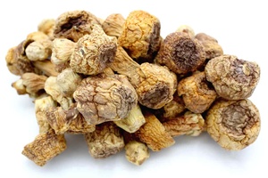 Agaricus-seta blazei seca, la mejor calidad, de Vietnam - Product Image 5