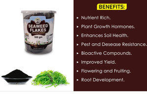 Botella de fertilizante de copos de algas líquidas de 1Kg, promotor del crecimiento de plantas de liberación controlada para agricultura - Product Image 2