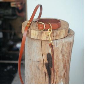 Conjunto de Collar y correa para perro, 32mm de ancho - Product Image 1