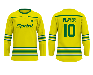 Ensemble de maillots de hockey sur glace adultes en polyester réversible sur mesure porter avec nom d'équipe imprimé pour adultes - Product Image 1