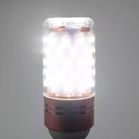 Ampoule LED en verre à économie d'énergie Zenith, culot E14, pour usage hôtelier, certifiée RoHS CE, AC 165-265V, IRC 95, 8000 Lumens, Garantie 2 ans
