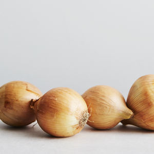 <b>Fresh</b> Arrival High Quality <b>Fresh</b> Organic Nutritional 100% Pure Natural Red <b>Onion</b> Plastic Container Buy Now at Wholesale Price - Product Image 2