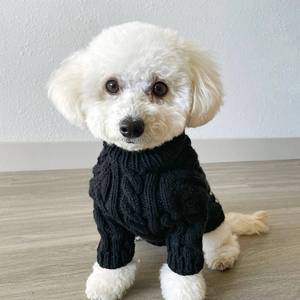 Pull pour chien en laine tricoté à la main de luxe moderne pour les loisirs écologiques pour les petits chiens vacances de printemps - Product Image 1