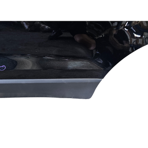 PORTA POSTERIORE SINISTRA FORD EcoSport Serie XVJD (12>) - Product Image 6