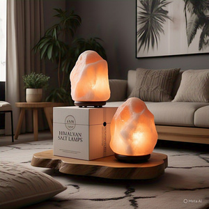 GMP ได้รับการยอมรับแพคเกจที่สมบูรณ์-โคมไฟเกลือหิมาลัยธรรมชาติ fengshui สายไฟฟ้าวัสดุอินทรีย์สัตว์ต่างๆรัก - Product Image 3