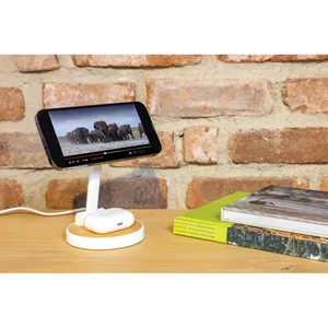 Supporto di ricarica 2-in-1 per dispositivi smart home sostenibili dell'Ontario - Product Image 2