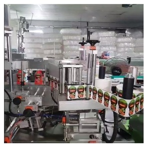 SALSA CHILI ROJA 250 G BOTELLA PET EXPORTACIÓN A EUR1 - Product Image 6