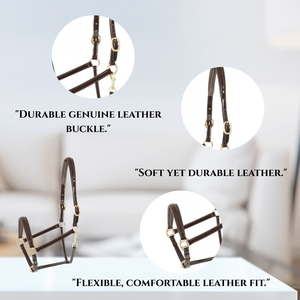 Licou fantaisie en cuir véritable 100% de haute qualité avec coutures faites à la main pour les courses de chevaux - Product Image 4