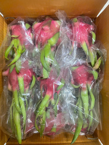Beste prijs Superverse Witte Dragon Fruit Biologisch Global GAP Vietnam Oorsprong Tropisch Fruit Export Hoge Kwaliteit 60 dagen