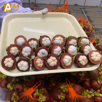 Zoete, sappige, biologische Thaise mangosteen, vers fruit, koningin van de vruchten, met tropische smaak, in bulk verpakt