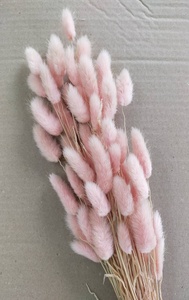 Lagurus-Hierba de cola de conejo seca, flores secas coloridas para decoración, venta al por mayor - Product Image 4